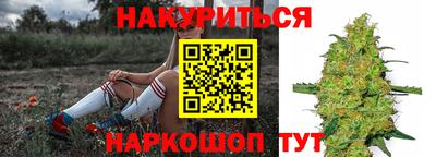 соль ск Тара